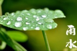24 Solar Terms: Rain Season Picture Wallpaper