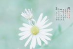 March 2022 elegant, simple and fresh desktop calendar wallpaper