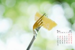 2021年5月清新护眼桌面日历壁纸