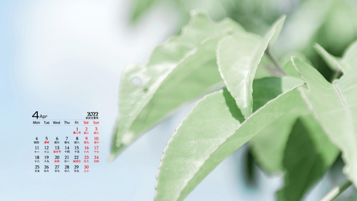 2022年4月护眼绿植风景桌面日历壁纸