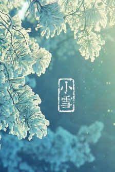 Solar term light snow beautiful pictures mobile wallpaper