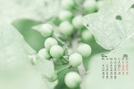 2021年9月护眼绿植风景桌面日历壁纸