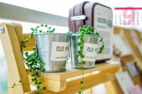 September 2022 Calendar Wallpaper