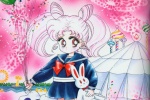 Sailor Moon bunny birthday greetings