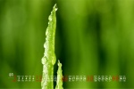Fresh eye-protecting desktop calendar wallpaper for August 2021