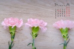 May 2021 Mother's Day Flowers Desktop Calendar Wallpaper