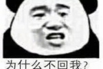 为什么不回我？你是网红吗?