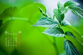 April 2022 Eye-protecting Scenery Nature Desktop Calendar Wallpaper