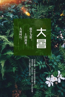 Great summer mobile wallpaper pictures