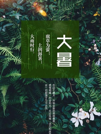 Great summer mobile wallpaper pictures