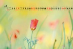 June 2021 Flowers and Plants Desktop Calendar Wallpaper
