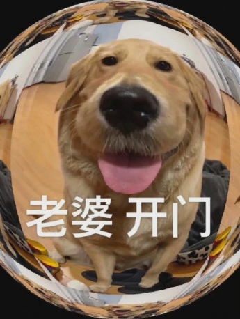 憨憨狗老婆開門表情包