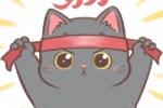 Hardworking cat cartoon avatar