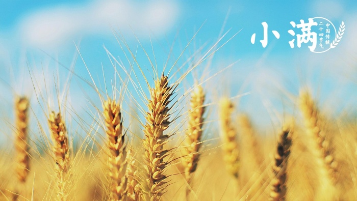 24 solar term early summer Xiaoman picture desktop wallpaper