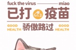 猫咪已发疫苗手机壁纸