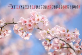 Beautiful flowers and plants desktop calendar wallpaper for July 2021