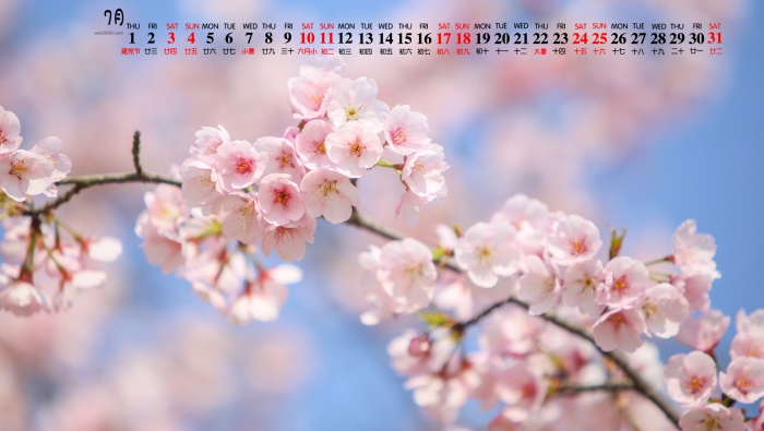 2021年7月唯美花卉植物桌面日历壁纸