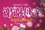 Mother's Day background material picture