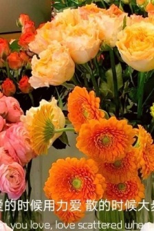 Don’t Overestimate Your Position Beautiful Text Pictures