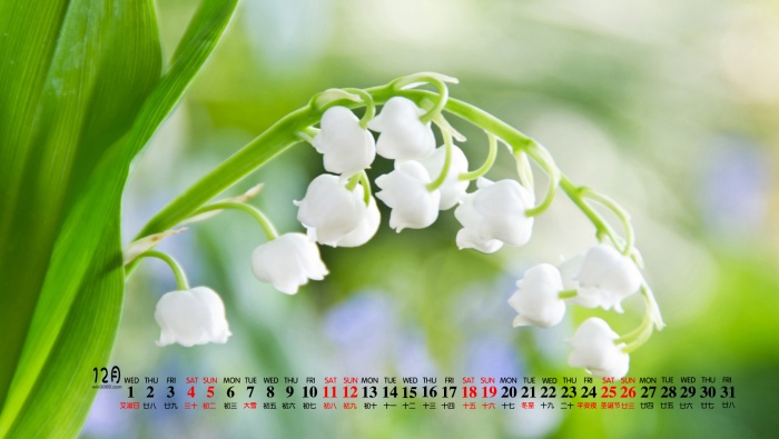 December 2021 elegant eye-protecting green calendar wallpaper