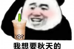 我想要秋天的第一杯奶茶