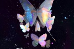 Beautiful night butterfly mobile wallpaper