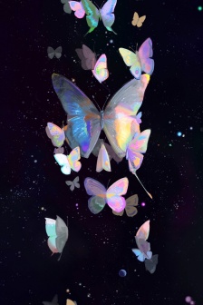 Beautiful night butterfly mobile wallpaper