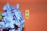 高清24节气春分图片桌面壁纸