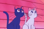 Luna Artemis couple's avatar