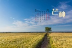 2021年6月芒种桌面日历壁纸图片
