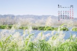 Eye-protecting grass green leaves calendar wallpaper for January 2022