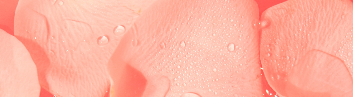 粉色系手机壁纸