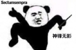熊猫头神锋无影表情包