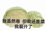 我虽然卷但我还是菜我裂开了表情包