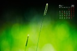 April 2022 HD Eye Protection Desktop Calendar Wallpaper