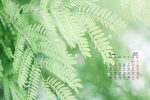 2021年5月清新护眼桌面日历壁纸
