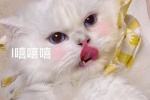 只要老婆开心嘻嘻嘻i am fine