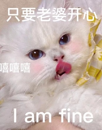 Wife slave cat expression pack