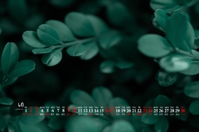 2022年4月翠绿色植物电脑日历壁纸