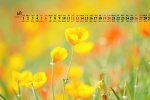 June 2021 Flowers and Plants Desktop Calendar Wallpaper