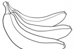 香蕉簡筆畫圖片