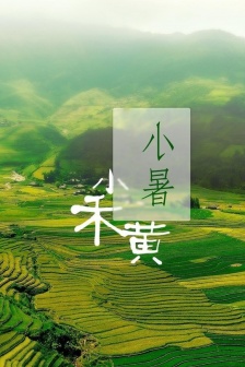 Xiaoshu fresh natural scenery mobile wallpaper