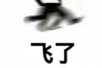 飞了