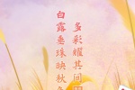 二十四节气白露手机壁纸