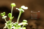 Eye-protecting green landscape desktop calendar wallpaper for April 2022