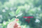 2022年4月日历壁纸