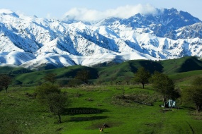 初夏的新疆伊犁风景桌面壁纸