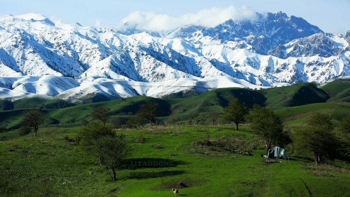初夏的新疆伊犁风景桌面壁纸