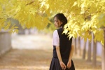 银杏树下的学生妹美女写真图片