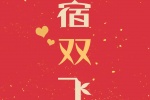 双宿双飞